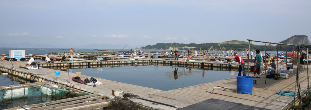 おすすめの海上釣り堀７選 兵庫県 大阪府 和歌山県 ニュース つりそく 釣場速報