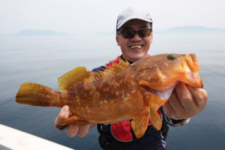 高級魚アコウの絶好シーズン到来 京都 宮津沖は40cm級の大型まじってよい人2ケタ釣果が連発中 ニュース つりそく 釣場速報