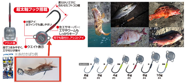 ジグヘッド エサで爆釣 超お手軽ハイブリット釣法のススメ ニュース つりそく 釣場速報