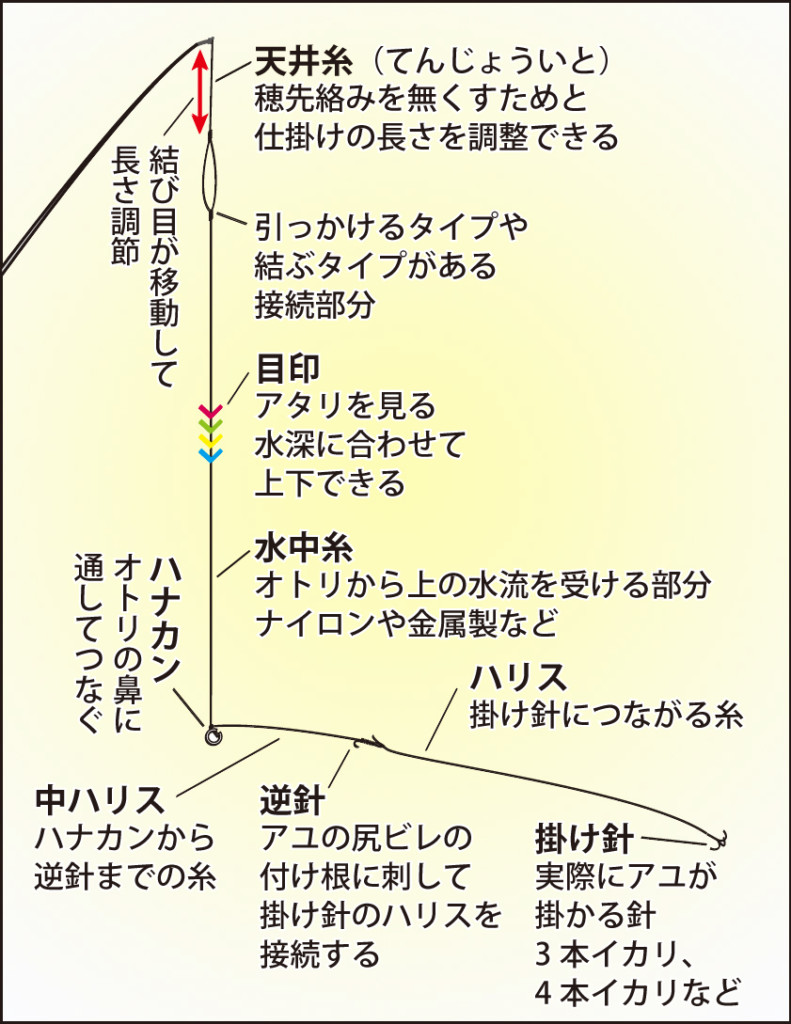 イラスト入り アユ友釣り入門講座 準備編 道具 仕掛け 釣る場所 ルールを覚えよう ニュース つりそく 釣場速報