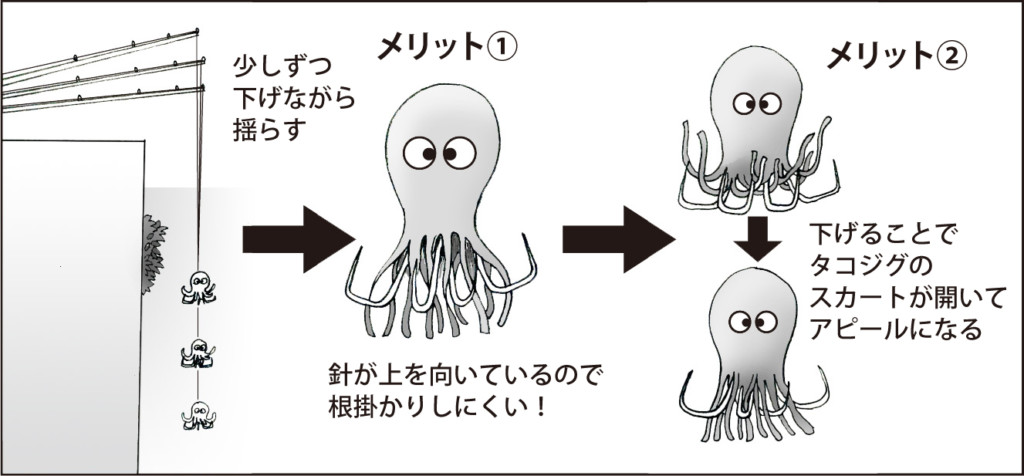 Let S オクトパッシング 岸ダコ入門マニュアル タックル 仕掛け 釣り方を詳しく解説 ニュース つりそく 釣場速報