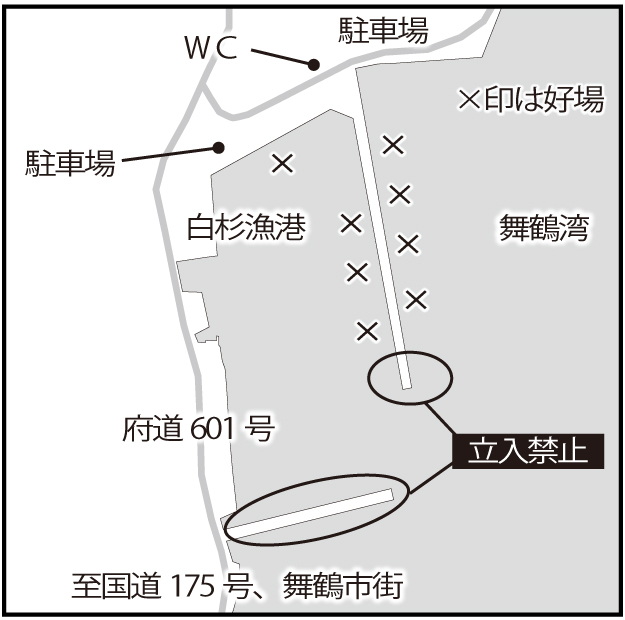 関西波止釣り場report 京都 舞鶴湾 白杉漁港 で大型クロダイ コウイカエギングがイチオシ ニュース つりそく 釣場速報