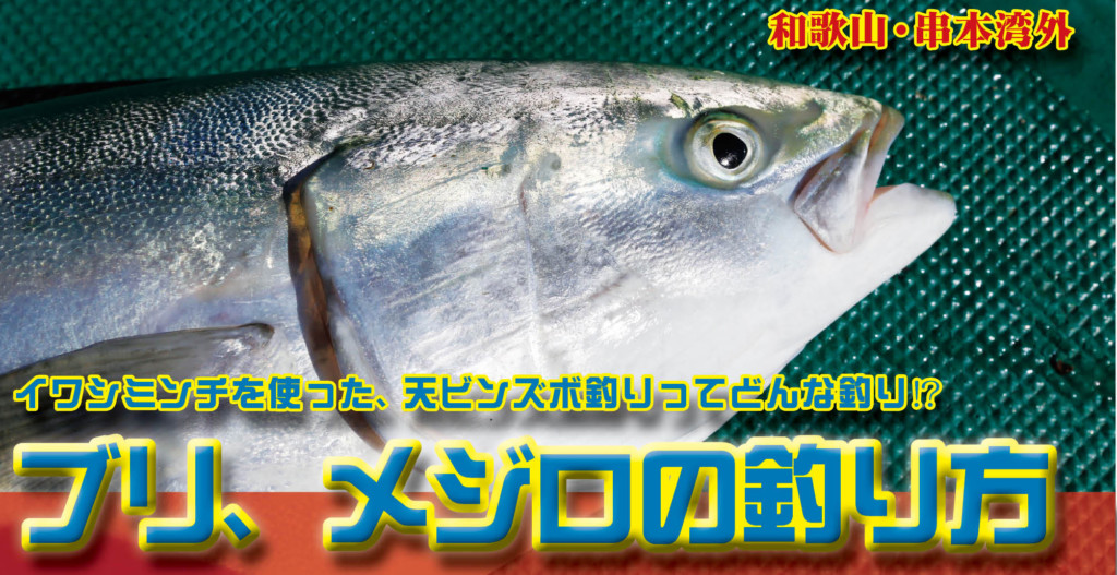 ブリ メジロのイージーな釣り方 船からの 天ビンズボ釣り とは 和歌山 串本湾外 昇成丸 ニュース つりそく 釣場速報
