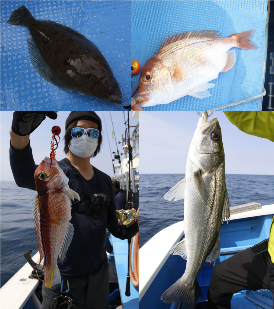 タイラバで釣れる魚ってマダイ以外は何がいるの ニュース つりそく 釣場速報