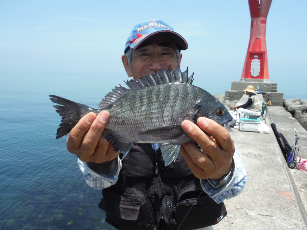 竹ちゃんの波止釣りreport 紀州釣りでグレ チヌが狙える好場 深日港を攻略 ニュース つりそく 釣場速報