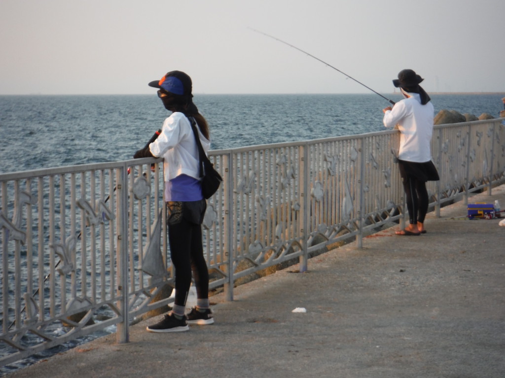 竹ちゃんの堤防釣りreport 夏にオススメ 貝塚人工島のエビ撒き釣り ニュース つりそく 釣場速報