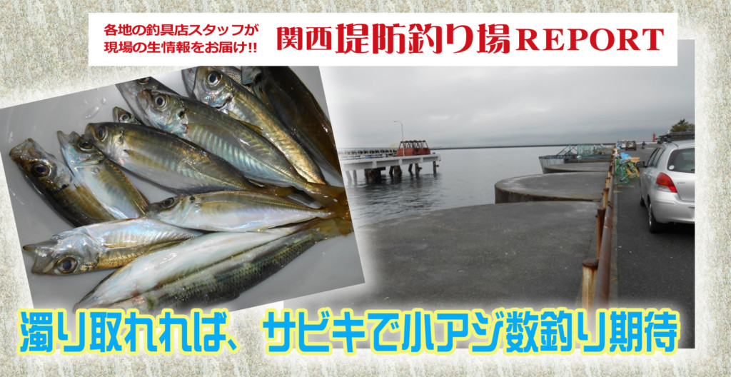 サビキ仕かけで アジが今後さらに釣れそう 関西堤防釣り場report ニュース つりそく 釣場速報