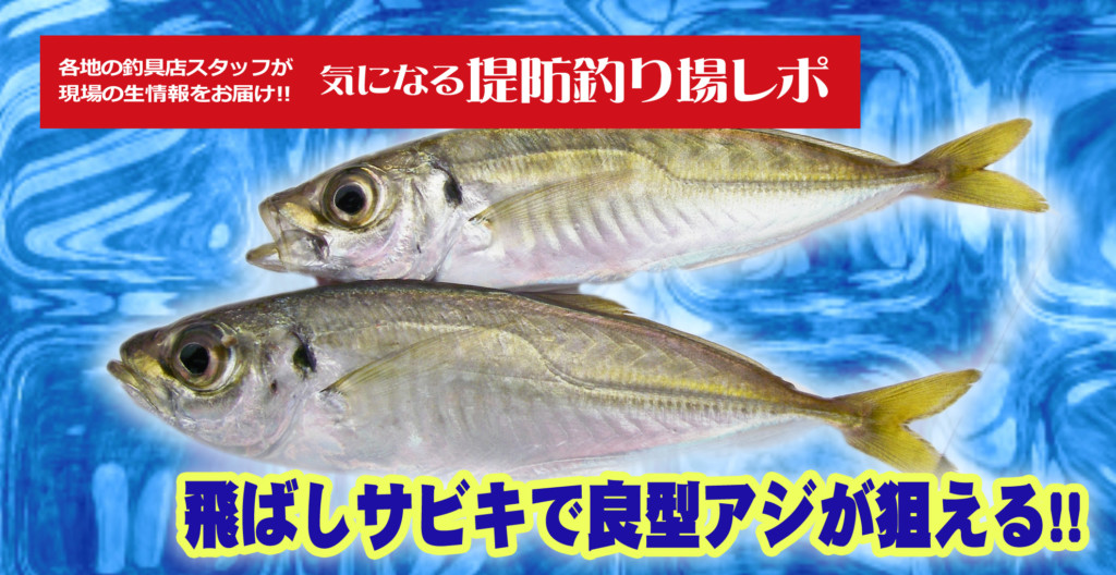 気になる堤防釣り場レポ サビキ釣りでアジ期待大 ウキを付けて投げればさらに釣果もアップ ニュース つりそく 釣場速報