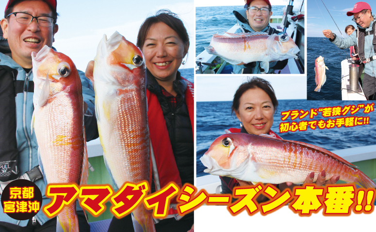 高級魚が初心者でも手軽に狙える魅力の釣り 若狭グジ と呼ばれる 超美味なブランドのアマダイがシーズン本番 名手の実釣をレポ ニュース つりそく 釣場速報